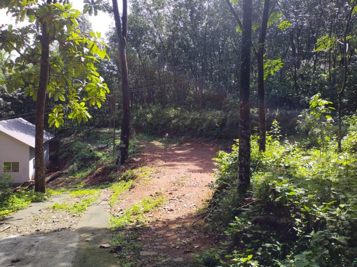 Villa Nature'S Nest Thadiyoor Kozhancheri Exterior foto